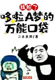 我得到了哆啦a梦的口袋