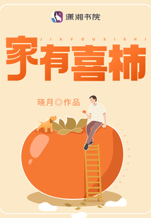 家有喜柿 小说