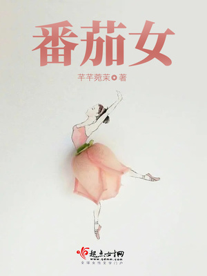 番茄女小说