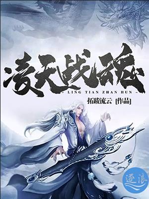 凌天战魂有多少个等级
