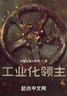 工业化领主TXY