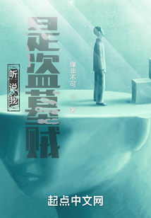 听说我是盗墓贼TXT下载