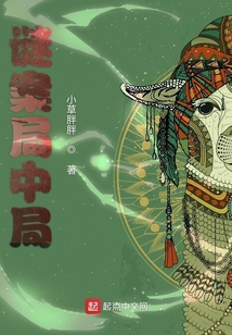 谜案局中局