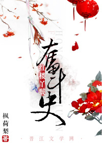 红楼丫鬟奋斗史 小说