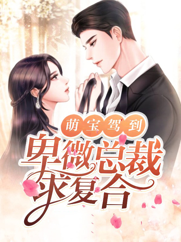 萌宝驾到,爹地追妻超级甜短剧大结局
