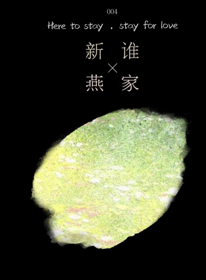 是谁家新燕晋江