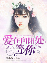 爱在向阳处等你讲的是什么故事