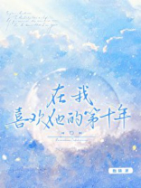 在我喜欢他的第十年小说