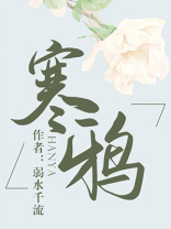 寒鸦小说