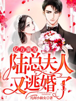 亿万甜妻,陆少高调宠小说免费下载