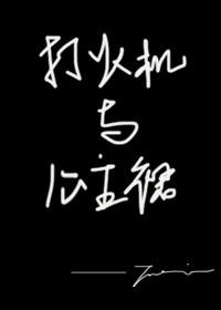 打火机与公主裙全文免费阅读全本小说