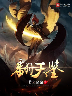 翻天鉴有声