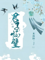 君子怀璧