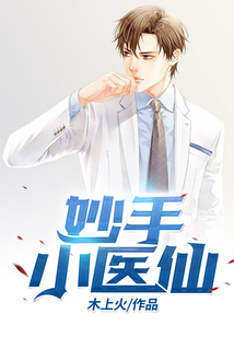 妙手小医仙小说