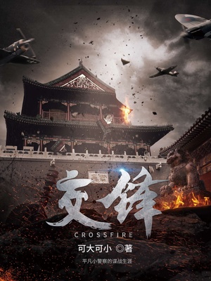 交锋谍战小说TXT