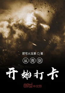 从亮剑开始打卡 小说