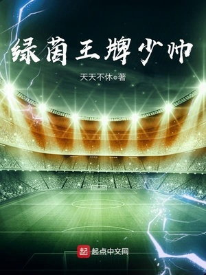 绿茵王牌少帅 聚合中文网