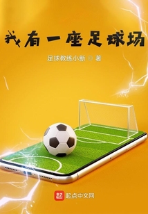 一座标准足球场多大