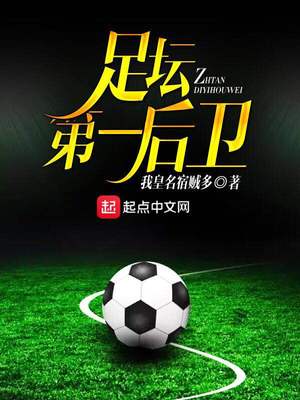 足坛第一后卫小说下载百度云