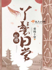 红楼丫鬟日常 小说
