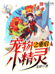 宠物小精灵之重来