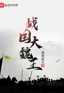 战国大魏王笔趣阁