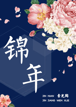 锦年小说全文免费阅读