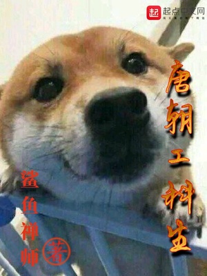 唐朝工科生小说