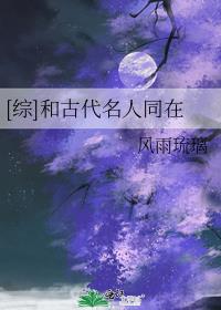 综和古代名人同在风雨琉璃