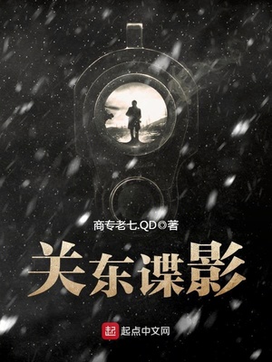 关东谍影小说下载