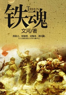 铁魂火车模型