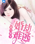 豪门强宠：婚劫难逃