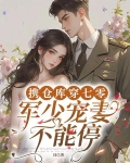 携仓库穿七零,军少宠妻不能停