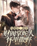 闪婚后，我在禁欲首富怀里撒野