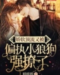 娇软顶流又被偏执小狼狗强撩了
