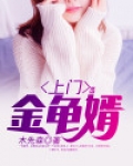 上门金龟婿