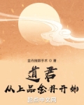 道君:从上品金丹开始