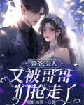 景爷,夫人又被哥哥们抢走了