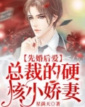 先婚后爱,总裁的硬核小娇妻
