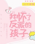 我怀了反派的孩子