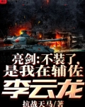 亮剑：不装了，是我在辅佐李云龙