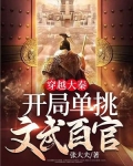 穿越大秦,开局单挑文武百官