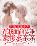阴鸷反派少年在我面前装乖卖惨求亲亲正版小说