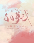 白日梦我