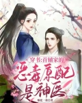 穿书:首辅家的恶毒原配是神医