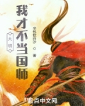 大明:我才不当国师