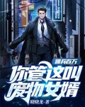 佣兵百万，你管这叫废物女婿？