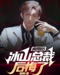 离婚后，冰山总裁后悔了