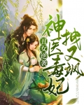 丑女逆袭，神医毒妃拽又飒