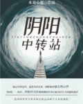 阴阳中转站